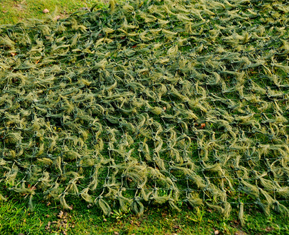 2021鶻鷹牌防航拍偽裝網(wǎng)如何選？怎樣才能防衛(wèi)星航拍？